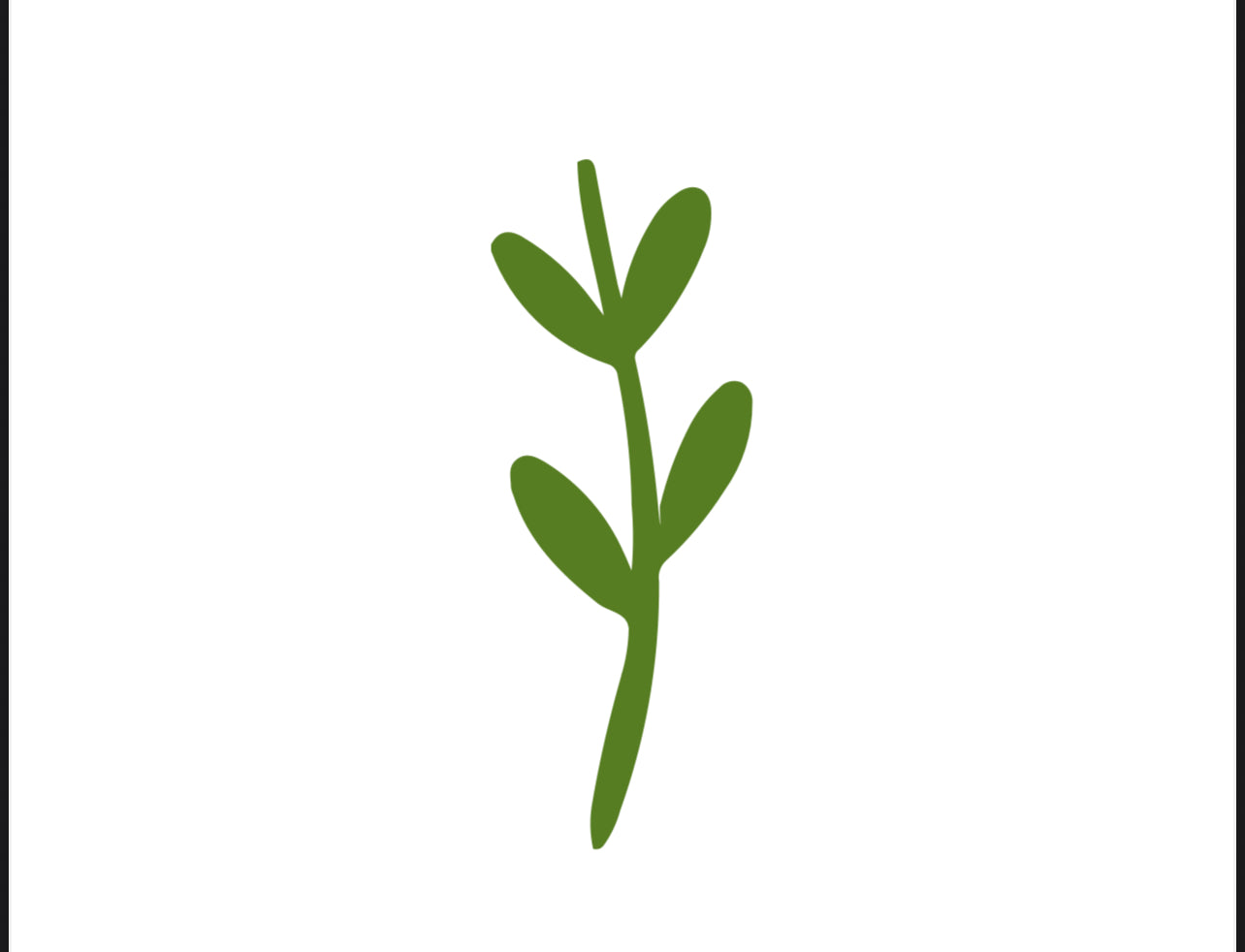 Follicular Phase 
Green sprouting leaf symbol representing the follicular phase renewal, growth, and rising energy.”